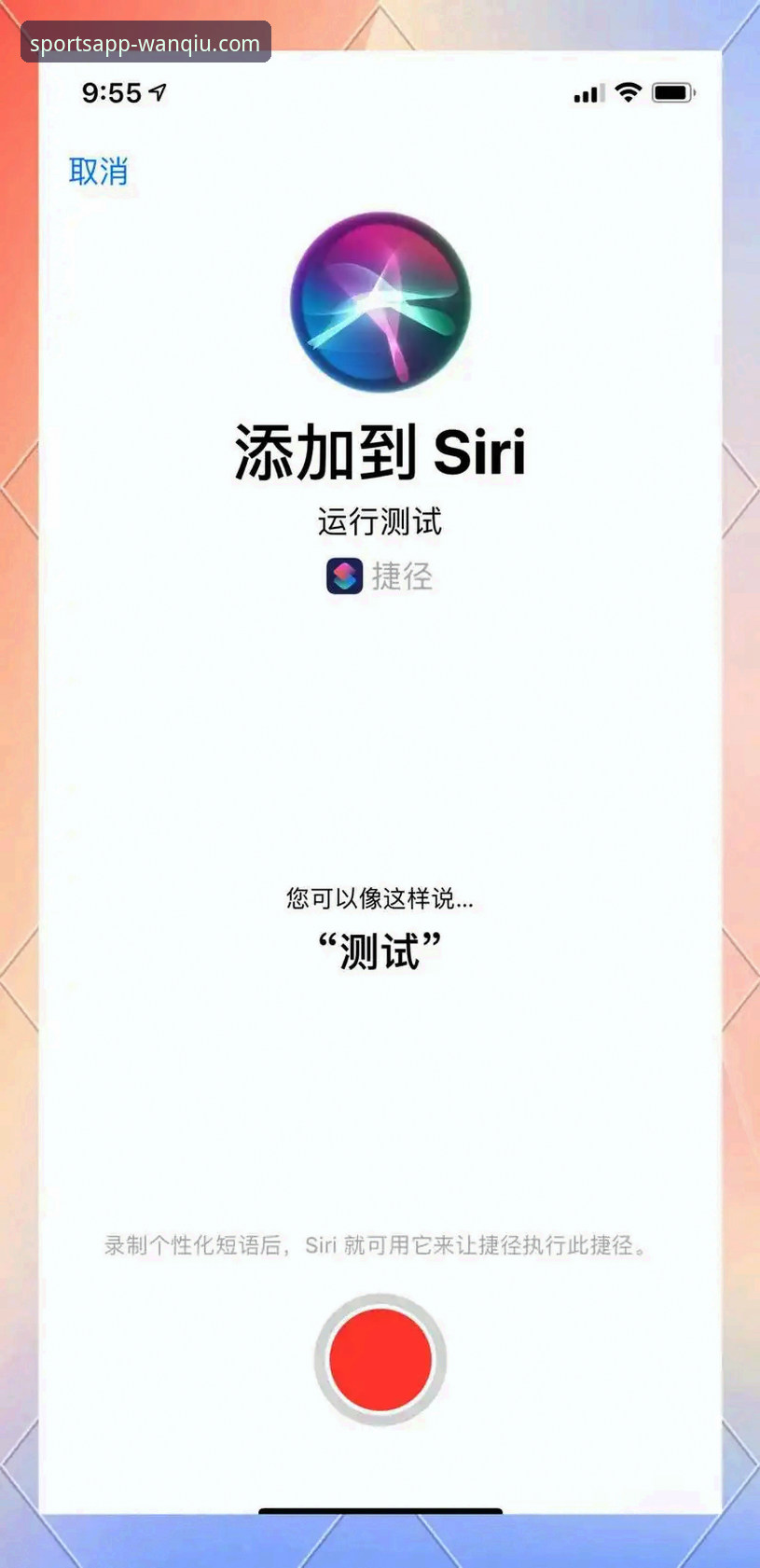 玩球体育高速下载iOS版详解：从下载到使用的完整指南